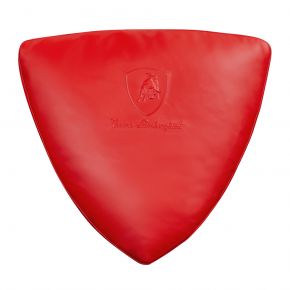 Shield Pillow